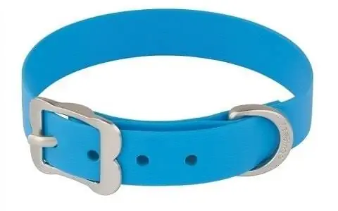 Red Dingo Vivid PVC Mbwa Collar