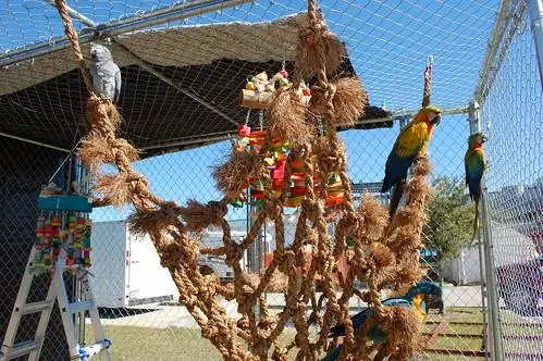 DIY Climbing Bird Net