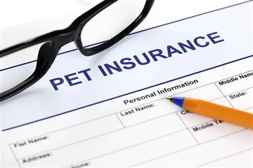 Ano ang Pet Insurance, Paano Ito Gumagana & Ano ang Sinasaklaw Nito?