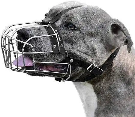 8BRONZEDOG koera koon Pitbull metallist mask Amstaff Wire