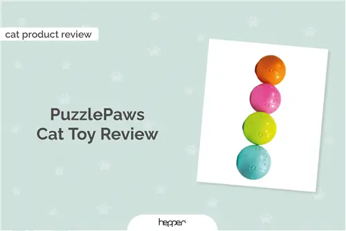 PuzzlePaws Cat Toy İcmalı 2023 – Müsbət cəhətlər, Eksiler, & Hökm