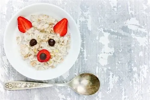 Idea divertente e salutare per la colazione per bambini_anastasia panait_shutterstock