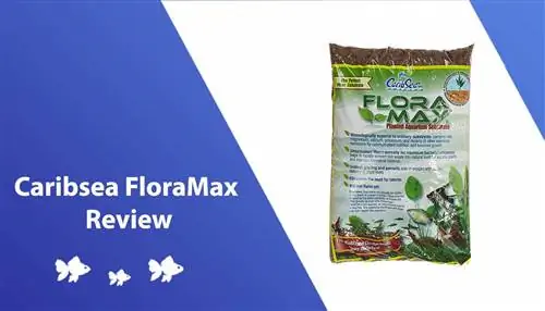 Caribsea FloraMax Review 2023 – Fordeler, ulemper & Vår endelige dom