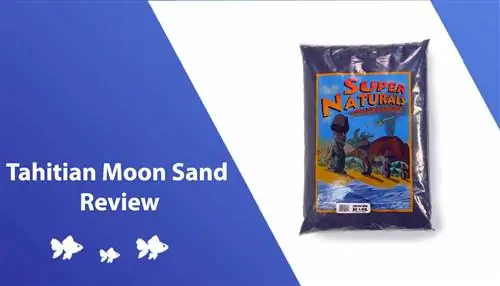 Đánh giá Tahitian Moon Sand 2023 – Ưu điểm, Nhược điểm & Phán quyết cuối cùng của chúng tôi