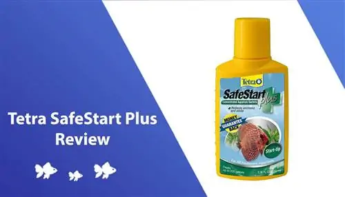 Tetra SafeStart Plus Review 2023 – Fordeler, ulemper & Vår endelige dom