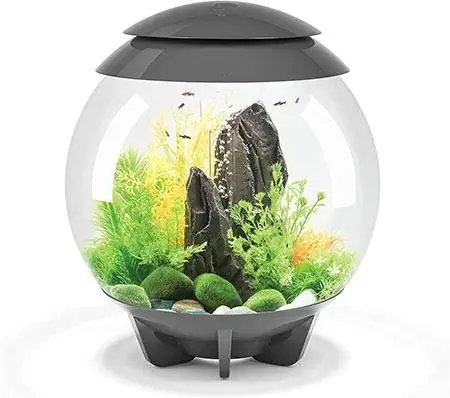 Aquarium biOrb Halo 30 avec éclairage MCR, 8 gallons