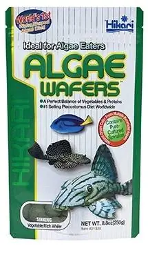 Wafer Alga