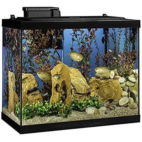 Kit de dipòsit de peixos Tetra Aquarium de 20 galons