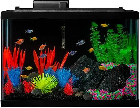 GloFish Aquarium Kit Fish Tank