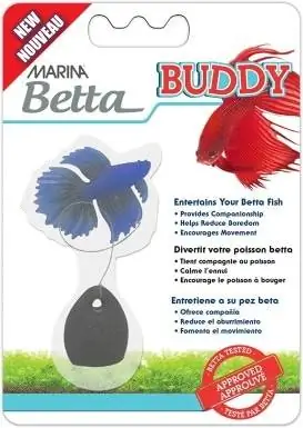 Marina Betta draudzene