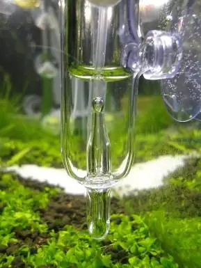 JARDLI Pollen Glass CO2 Difüzörü