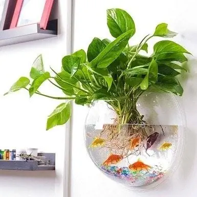 1Outgeek Wall Fish Bubble Wall Hanging Bowl