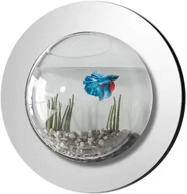 3 1 Gallon Reflection Fish Bubble Deluxe Mirrored Wall