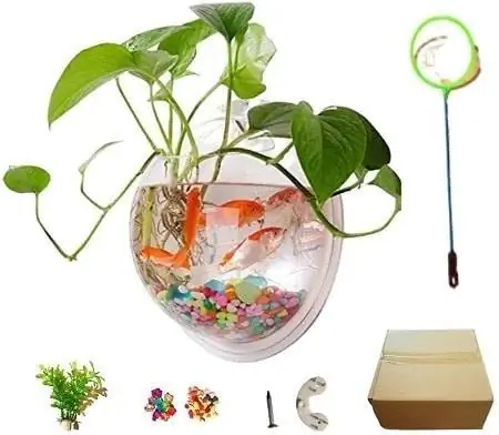 5Creative Acrylic Hanging Wall Mounted Fish Tank