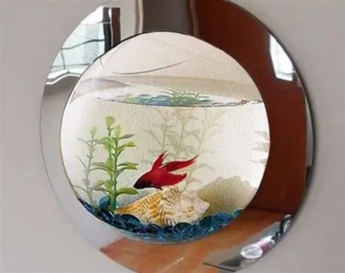 Aquarium mural à réflexion de 1 gallon