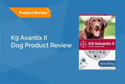 K9 Advantix II পর্যালোচনা 2023: সুবিধা, অসুবিধা, & রায়