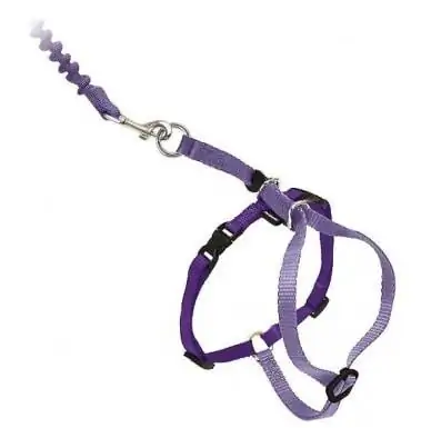 PetSafe Tuaj Nrog Kuv Kitty Nylon Cat Harness & Bungee Leash