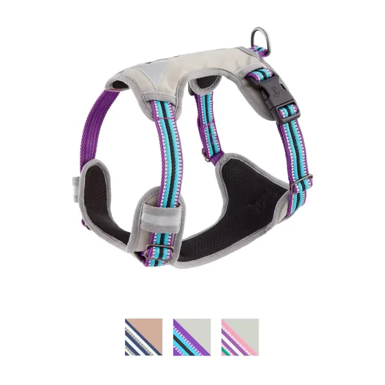 Blueberry Pet 3M Pettorina riflettente in rete a strisce multicolore