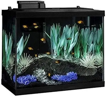 „Tetra ColorFusion Aquarium“20 galonų žuvų bako rinkinys