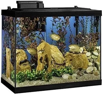 Kit de aquário de 20 galões Tetra Aquarium