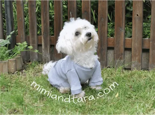 Sweater Anjing Mudah dengan Lengan - Mimi & Tara