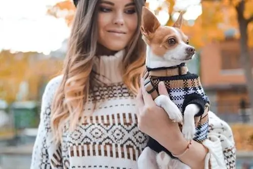 Chic Dog Sweater – DIY-prosjekter