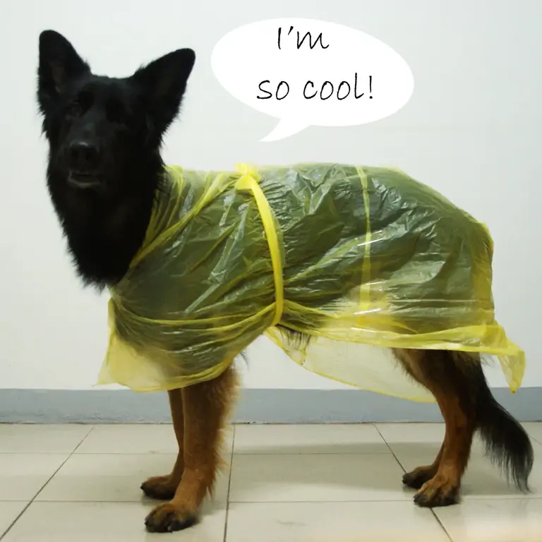 Trash Bag Raincoat – Instructables