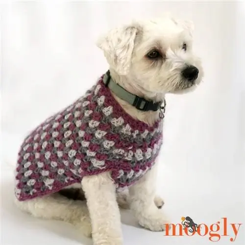 Abrigo para perro bien vestido – Moogly