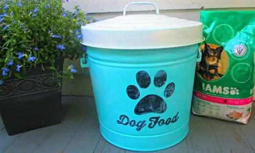 DIY Shabby Chic Dog Food Tin + เทมเพลตสำหรับพิมพ์ฟรี