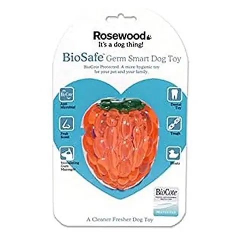 Palisander 43008 Biosafe Raspberry Germsmart igrača za pse