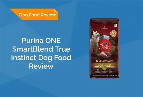 Purina ONE SmartBlend True Instinct Dog Food Review 2023: herinneringen, voordelen & nadelen