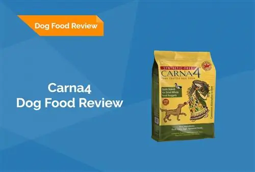 Carna4 Dog Food Review 2023: recordatoris, pros i contres