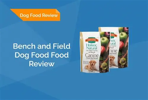 Bench and Field Dog Food Review 2023: terugroepacties, voordelen & nadelen