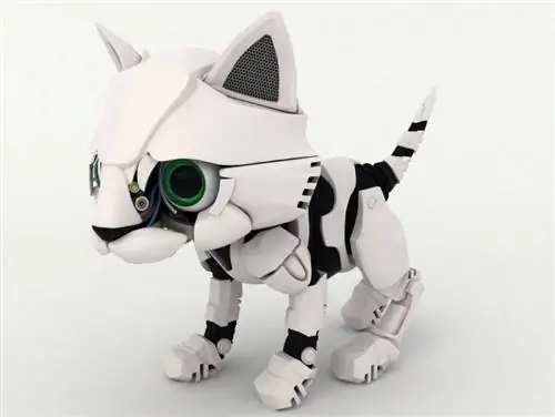 Robot Kucing: Adakah Mereka Masa Depan? (Kelebihan, Kelemahan & Soalan Lazim)