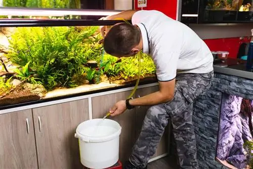 Un hombre con una manguera y un balde, cambiando el agua en un acuario grande y bien plantado