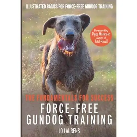 Force-Free Gundog Training - Uğurun Əsasları