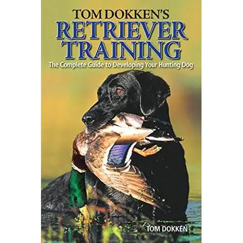 Tom Dokkenin Retriever Təlimi - Ovçu itinizi inkişaf etdirmək üçün tam bələdçi