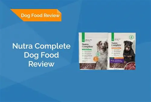 Nutra Complete Dog Food Review 2023: Изтегляния, плюсове & минуси