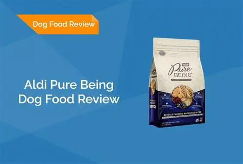 Aldi Pure Being Dog Food Review 2023: Återkallelser, fördelar & Nackdelar