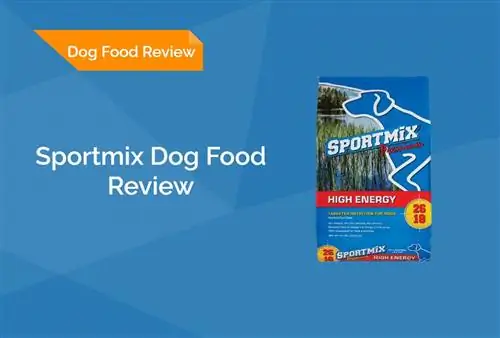 Sportmix Dog Food Review 2023: Tilbakekallinger, fordeler & Ulemper