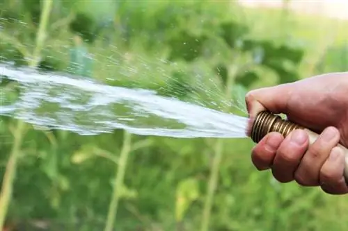 Utiliser un tuyau pour arroser l'herbe