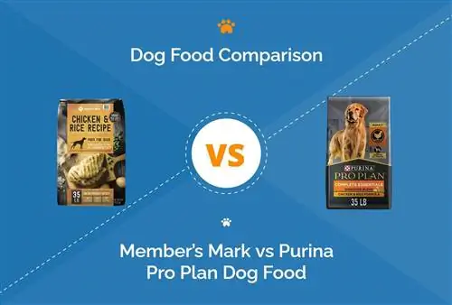 סימן חבר לעומת Purina Pro Plan מזון לכלבים: השוואה לשנת 2023