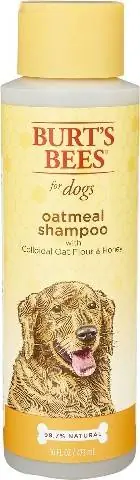 Burt's Bees Oatmeal Shampoo med kolloid alt havremjöl & honung