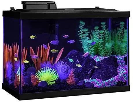 LED'li GloFish Akvaryum Kiti Balık Tankı