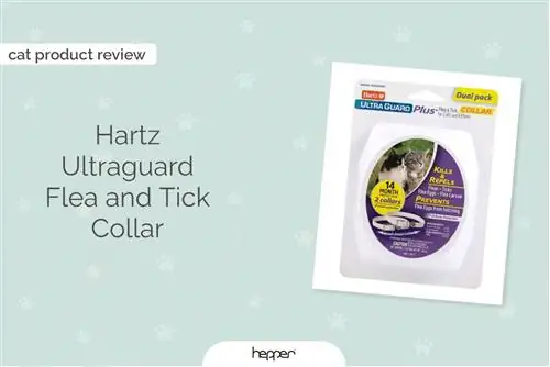 Hartz Ultraguard ogrlica protiv buha i krpelja za mačke Recenzija 2023: FAQ, prednosti, mane i presuda