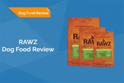 RAWZ Dog Food Review 2023 : rappels, avantages & inconvénients