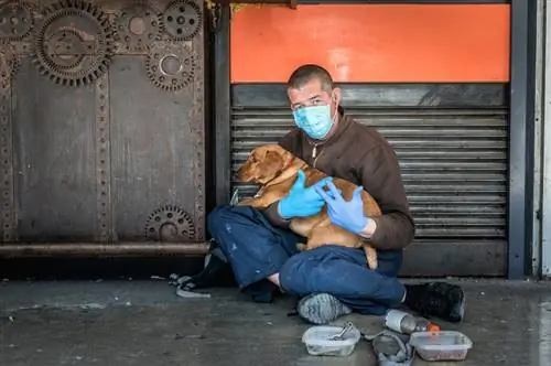 Un sans-abri avec un chien sur ses genoux