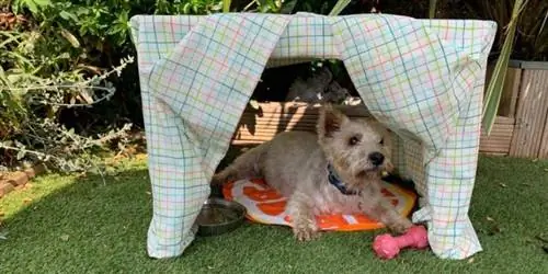 https://www.pdsa.org.uk/what-we-do/blog/how-to make-a-diy-outdoor-sun-shelter for your-pet