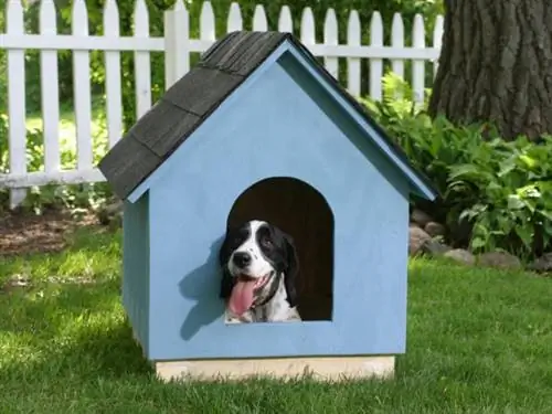 DIY Doghouse