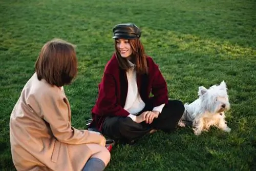 donna seduta sull'erba e che parla con un amico mentre trascorre del tempo con il cane nel parco